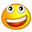 pp);13